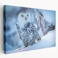 Stretched canvas wall art featuring a vibrant birds of prey design, showcasing intricate details and rich colors, ideal for enhancing contemporary decor.