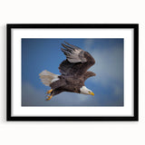 Framed wall art collection showcasing a vibrant design of birds, featuring a sleek black frame and mat, ideal for adding a touch of nature-inspired decor to any space.