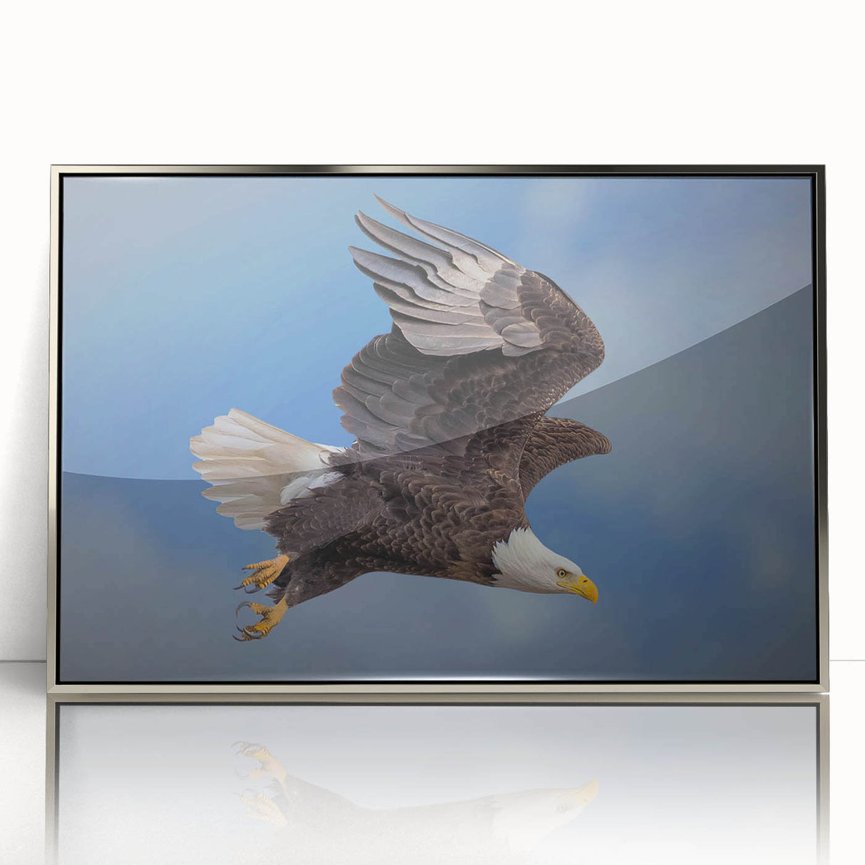 Framed acrylic wall art featuring a striking "Birds of Prey" design, showcasing vibrant colors and intricate details, perfect for enhancing modern home decor.