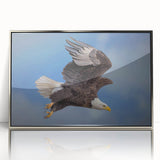 Framed acrylic wall art featuring a striking "Birds of Prey" design, showcasing vibrant colors and intricate details, perfect for enhancing modern home decor.