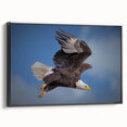 Framed wall art featuring a striking 'Birds of Prey' design on canvas, showcasing vibrant colors and intricate details, set against a sleek black frame.