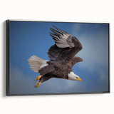 Framed wall art featuring a striking 'Birds of Prey' design on canvas, showcasing vibrant colors and intricate details, set against a sleek black frame.