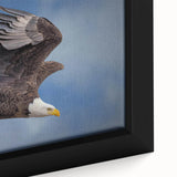 Framed canvas close-up showcasing a vibrant birds of prey design in rich colors, perfect for home decor. Ideal for nature enthusiasts and art collectors.