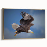 Framed canvas wall art featuring a vibrant birds of prey design, showcasing intricate details in gold accents and a sleek side view, perfect for home decor.