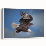 Framed wall art featuring a vibrant birds of prey design on a textured canvas, showcasing intricate details and a sleek white frame, perfect for modern decor.
