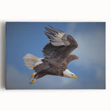 Stretched canvas wall art featuring a vibrant design of various birds in flight, showcasing rich colors and intricate details, perfect for enhancing home decor.