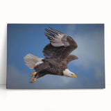 Stretched canvas wall art displaying a vibrant collection of birds, showcasing intricate designs and colors, perfect for home decor and nature enthusiasts.