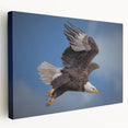 Stretched canvas wall art featuring a vibrant birds of prey design in rich colors, showcasing intricate details and textures for an eye-catching decor piece.