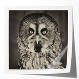 Vibrant wall art print showcasing a collection of intricately designed birds, featuring a glossy finish and colorful details, perfect for home decor.