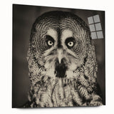 Elegant wall art piece showcasing a side view of a birds of prey design, featuring vibrant colors and intricate details, displayed in an acrylic frame. Perfect for nature lovers and home decor enthusiasts.