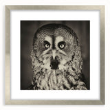 Framed wall art featuring a detailed "Birds of Pray" design in silver, showcasing intricate bird illustrations against a soft background, perfect for home decor.