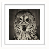 Framed wall art featuring a vibrant bird design from the "Birds of Pray" collection, displayed in a white mat and sleek frame, perfect for modern decor.