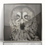 Framed wall art showcasing a stunning design of various birds in a vibrant color palette, accented with a sleek silver frame, ideal for modern decor.