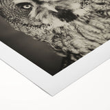 Vibrant rolled canvas print of a bird-themed wall art design, showcasing intricate illustrations and bright colors, ideal for home decor or art enthusiasts.