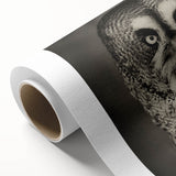 Rolled canvas wall art showcasing a vibrant and intricate birds of prey design, featuring detailed feather patterns on a rich background, ideal for nature enthusiasts.