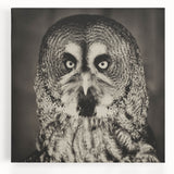 Vibrant stretched canvas wall art featuring a stunning design of various birds in flight, showcasing intricate details and bold colors, perfect for nature lovers' decor.