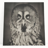 Stretched canvas wall art showcasing a vibrant bird design with intricate details and colors, perfect for home decor and enhancing living spaces.