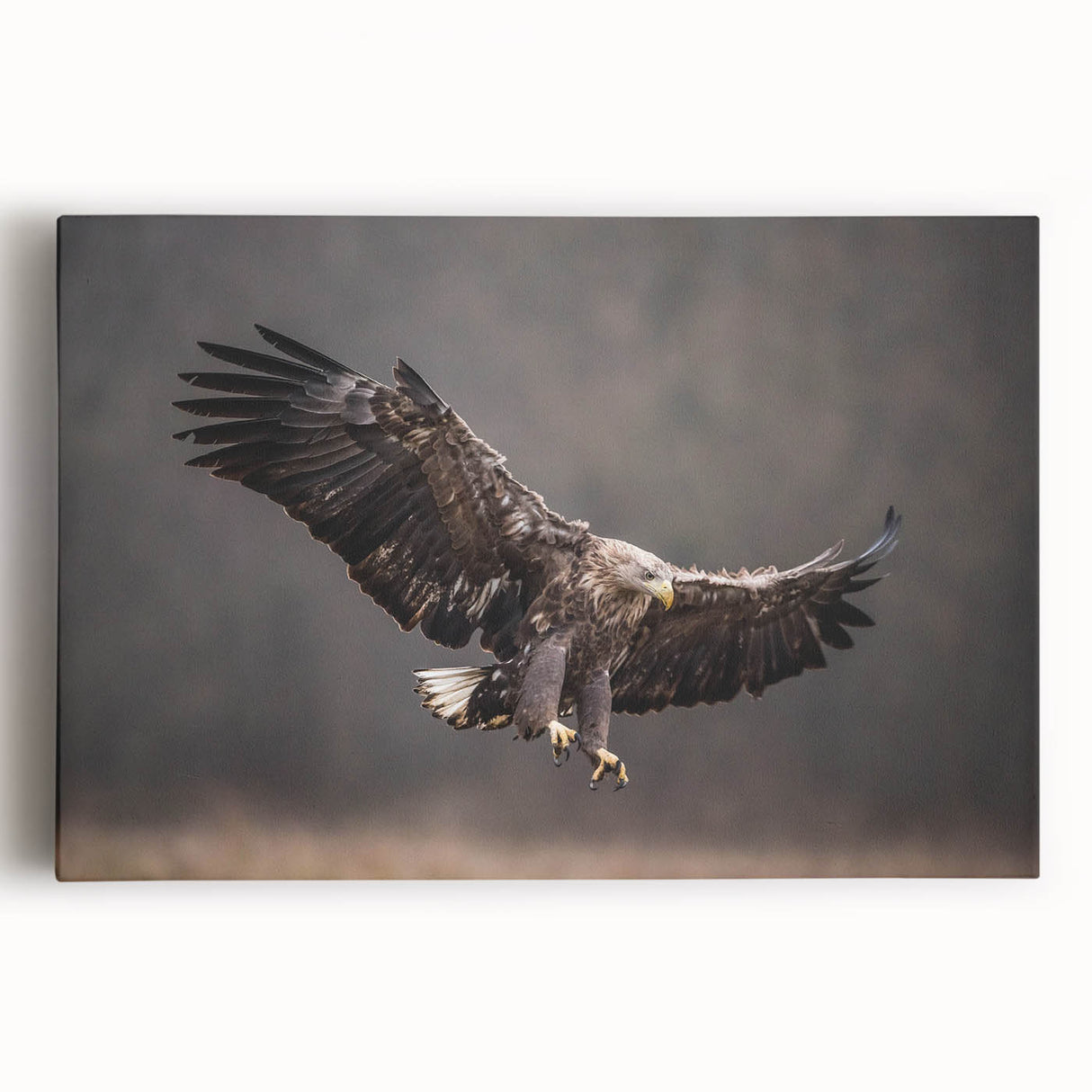 Stretched canvas wall art featuring a vibrant birds of prey design, showcasing intricate details of raptors in flight with rich colors against a neutral background, perfect for nature enthusiasts.