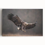 Stretched canvas wall art featuring a vibrant birds of prey design, showcasing intricate details of raptors in flight with rich colors against a neutral background, perfect for nature enthusiasts.