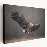 Stretched canvas wall art depicting a colorful birds of prey design, showcasing intricate details and vibrant colors, perfect for enhancing home decor.