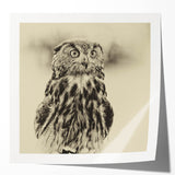 Stylish wall art collection featuring various bird designs, showcased in a glossy finish, perfect for home decor enthusiasts seeking unique, nature-inspired pieces.