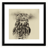 Framed black wall art featuring a stunning bird design, showcasing intricate details and vibrant colors, perfect for adding a touch of nature-inspired elegance to any room.