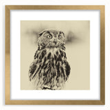 Elegant gold-framed wall art featuring a collection of bird designs, ideal for home decor. The artwork showcases intricate details and vibrant colors, perfect for enhancing any room's aesthetic.