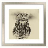 Framed wall art collection showcasing a birds of prey design in silver, featuring intricate details and a sleek mat, ideal for home decor enhancement.