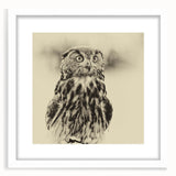 Framed wall art featuring a collection of beautifully illustrated birds, designed in a minimalist style with a white mat, perfect for enhancing home decor.