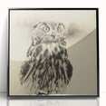 Framed wall art collection featuring a striking design of various birds of prey, showcased in a black frame with acrylic front, perfect for wildlife enthusiasts.