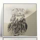 Framed acrylic wall art featuring a collection of bird illustrations, showcasing vibrant colors and intricate details against a white background, ideal for home decor.