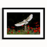 Black-framed wall art featuring a striking design of birds of prey, showcasing intricate details and bold colors, perfect for enhancing any living space or office decor.