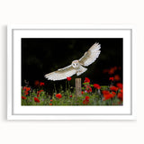 Framed wall art featuring a stunning collection of birds and vibrant colors, showcasing a modern design with a white mat, perfect for home decor enhancement.