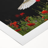 Colorful rolled canvas showcasing an intricate birds of prey design, featuring vibrant details and textures, perfect for home decor or art enthusiasts.