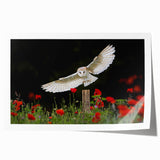 Colorful wall art print featuring a collection of birds in flight, showcasing intricate details and vibrant hues, ideal for home decor and nature lovers.