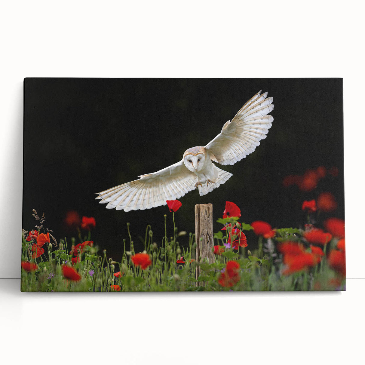 Stretched canvas wall art featuring a vibrant bird-themed design with intricate details, perfect for adding a pop of color to any room decor.