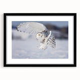 Black-framed wall art featuring an intricate design of birds in flight, showcasing vibrant colors and elegant details, perfect for home decor enhancement.