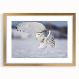 Framed wall art featuring a beautifully detailed "Birds of Prey" design with a gold mat, showcasing vibrant colors and intricate illustrations, perfect for home decor.