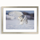 Elegant silver-framed wall art featuring a collection of birds, designed with intricate details and vibrant colors, perfect for enhancing any home decor.