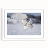 Framed wall art featuring a vibrant design of birds, showcasing intricate details and a white mat, perfect for enhancing home decor in modern settings.