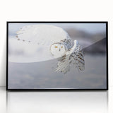 Framed acrylic wall art featuring a vibrant bird design, with a sleek black frame, showcasing intricate details of various bird species in a modern style.