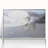 Framed acrylic wall art featuring a striking design of birds in flight, showcasing vibrant colors against a white background, perfect for modern home decor.