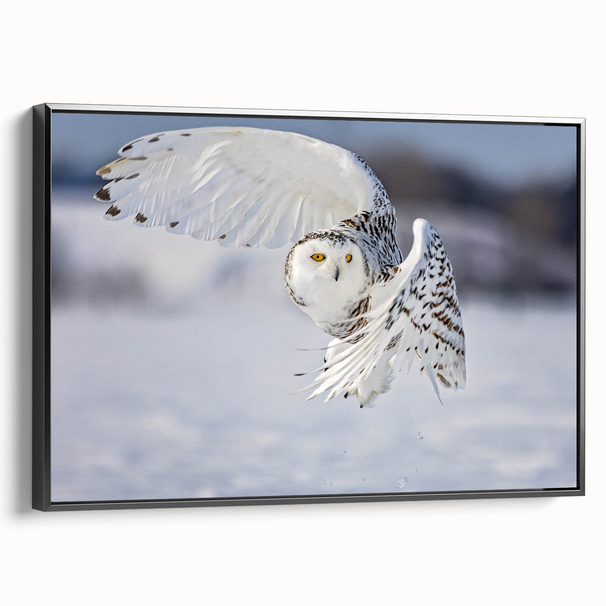 Framed canvas wall art showcasing a striking design of birds in flight, featuring a black frame and vibrant colors, perfect for enhancing modern home decor.