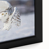 Close-up of a framed canvas wall art piece showcasing a vibrant birds of prey design, featuring intricate details and rich colors, perfect for nature enthusiasts.