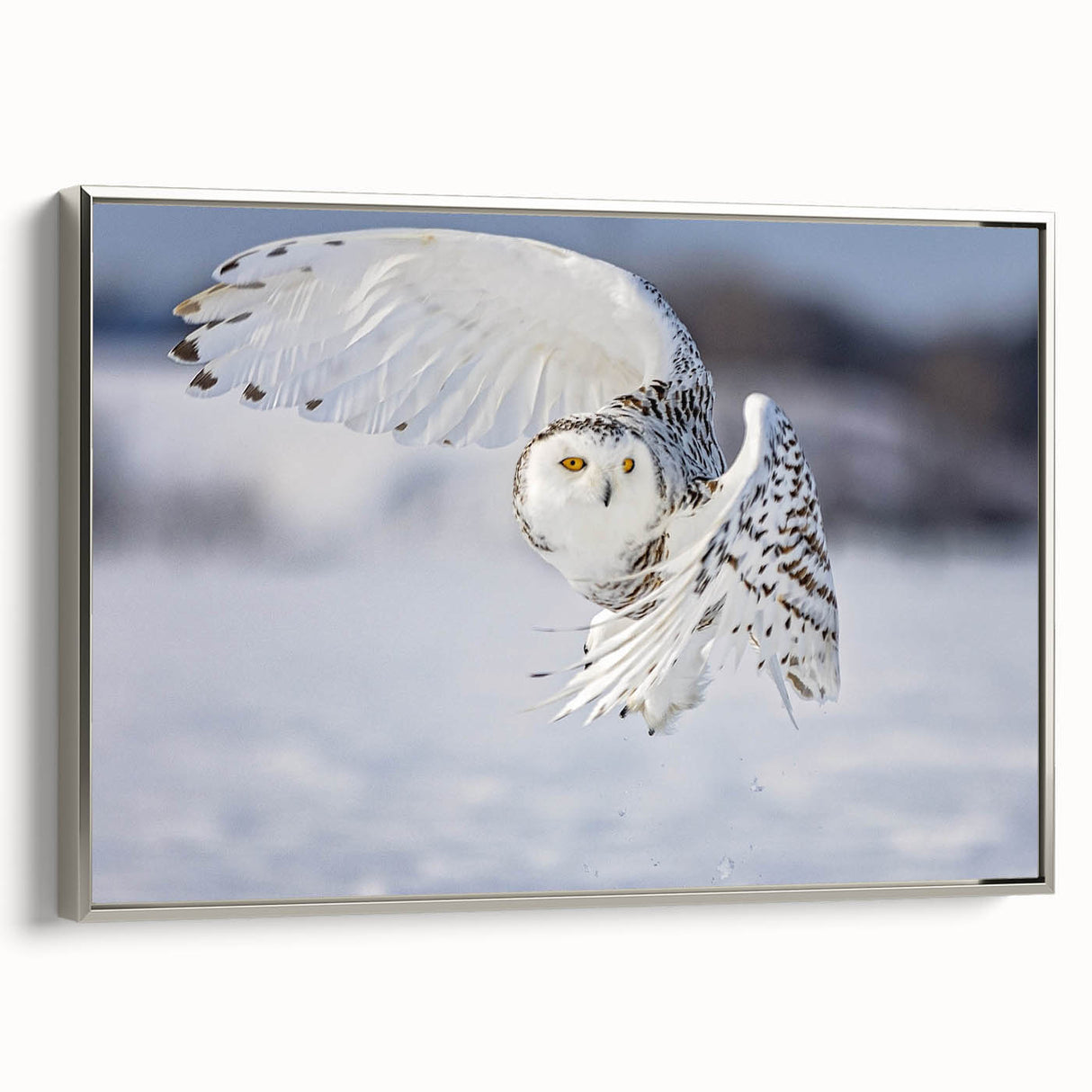 Framed canvas wall art from the "Birds of Pray" collection, showcasing a detailed design of various birds in vibrant colors, set against a sleek silver frame. Perfect for modern home decor.