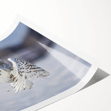 Vibrant rolled print of a bird-themed wall art design showcasing intricate details and bright colors, perfect for home decor or art enthusiasts.