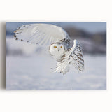 Stretched canvas wall art featuring an intricate design of birds, showcasing vibrant colors and detailed illustrations, perfect for home decor.