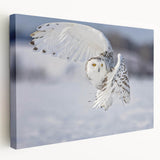 Stretched canvas wall art depicting a vibrant bird design, showcasing a mix of blues, greens, and yellows, ideal for modern home décor.