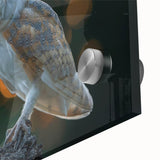 Close-up of a stunning acrylic glass wall art piece depicting vibrant birds of prey design, showcasing intricate details and bold colors, ideal for nature enthusiasts.