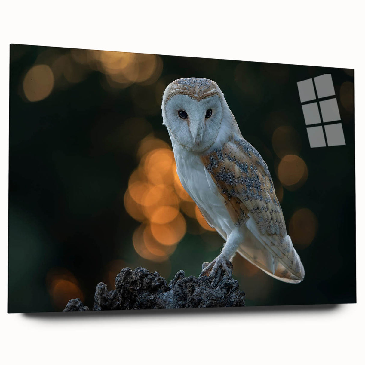 Acrylic glass wall art featuring a stylized bird design from the "Birds of Pray" collection, showcasing vibrant colors and a sleek side view with a minimalist aesthetic. Perfect for modern home décor enthusiasts seeking unique and eye-catching pieces.